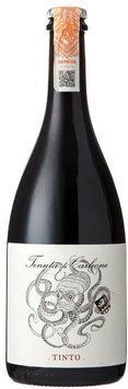 Игристое вино Tenuta Di Carleone Vino Rosso Frizzante 13% красное сухое 0.75 (BWR8824) 1231799 фото