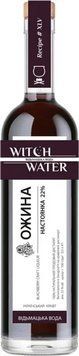 Настойка Witch Water Blackberry Ежевика 22% 0.5 л (VTS6344045) 1367380 фото