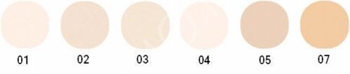 Chambor Silver Shadow Compact Powder №3 Sable Пудра для лица 2x16 g 1089183 фото