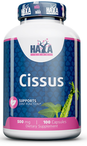 Haya Labs Cissus 500 мг Циссус 100 капсул 1052716 фото