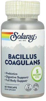 Solaray Bacillus Coagulans 5 Billion CFU - 60 Veg Capsules 1452885 фото