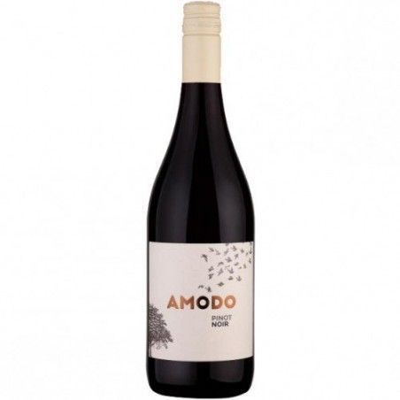Вино Amodo, Pinot Noir Provincia Di Pavia IGT, Lombardia, красное сухое, 0.75 л (PRV8003625007401) 793714 фото