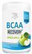 BodyPerson Labs Bcaa Recovery 500 g / 50 servings / Green apple 1039964 фото 2