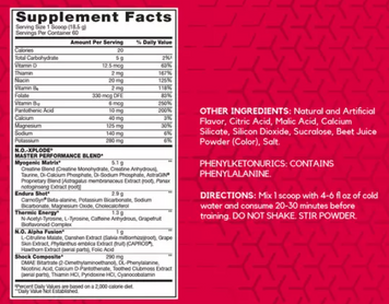 Передтренувальний комплекс BSN N.O.-XPLODE 555 g / 30 servings / Watermelon 507114 фото