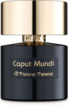 Парфуми Tiziana Terenzi Caput Mundi 100 ml 734232 фото