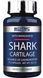 Акулячий хрящ Scitec Nutrition Shark Cartilage 75 caps Для суглобів та зв'язок 411371 фото 1