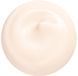 Shiseido Essential Energy Hydrating Day Cream Крем для лица 50 ml 1092843 фото 2