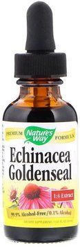 Nature's Way Echinacea Goldenseal Alcohol Free 99.9% 1 fl oz (30 ml) Эхинацея и гидрастис 535149 фото