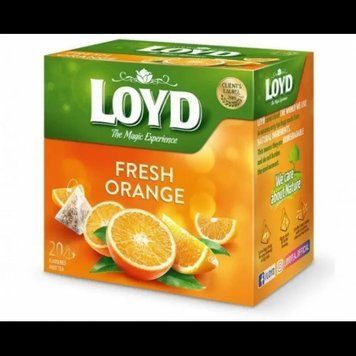 Чай Loyd фруктовий Fresh Orange зі смаком апельсина 20х2.2 г (3103638) 1159505 фото