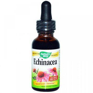 Nature's Way Echinacea Alcohol Free 99.9% 1 fl oz (30 ml) Эхинацея без спирта 535150 фото