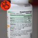Amix Nutrition GreenDay ProVegan Vitamin C 1000 mg with Acerola Витамин С + Ацерола 60 капсул 932756 фото 2