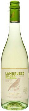 Вино напівгристе Civ&Civ Lambrusco dell'emilia Bianco Amabile біле напівсолодке 0.75 л (FSH_8001929316977) 1359851 фото
