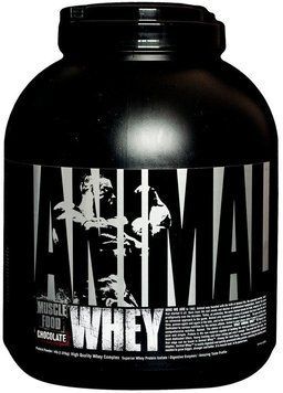 Протеин Universal Nutrition Animal Whey 1810 g /56 servings/ Chocolate 413822 фото