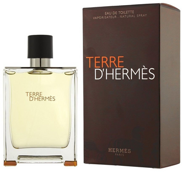 Туалетна вода Hermes Terre D`Hermes 100 ml 726000 фото