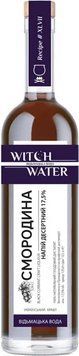 Напиток десертный Witch Water Black Currant Черная Смородина 17.5% 0.5 л (VTS6344047) 1367373 фото