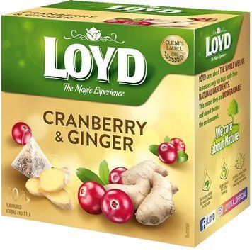 Чай Loyd фруктовий Cranberry and Ginger журавлина та імбир 20х2 г (3103566) 1159503 фото