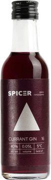 Джин Spicer Смородиновий 40% 0.05 л (4820278920123) 1349864 фото