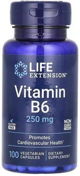 Life Extension Vitamin B6 250 mg - 100 vcaps 1481424 фото