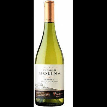 Вино Castillo de Molina Chardonnay біле сухе 11.5-14% 0.75 л (WNF7804300010508) 1217673 фото