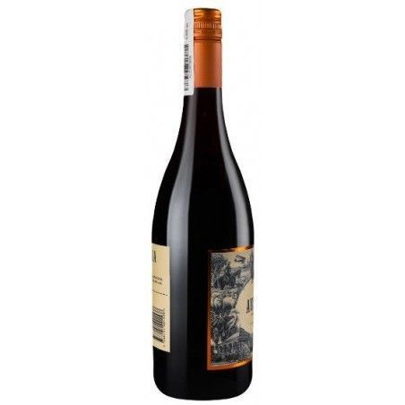 Вино Origin Wine Australia Shiraz сухое красное 0.75 л (Ориджин Вайн Австралия Шираз) 1147141 фото