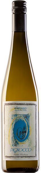 Вино "Pignocco" Verdicchio Castelli di Jesi DOC біле 0.75 л (WHS8003678900018) 819145 фото