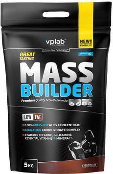 Гейнер VPLab Mass Builder 5000 g / 50 servings / Chocolate 1158389 фото