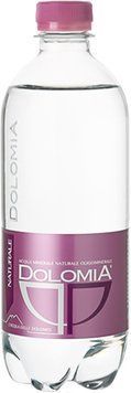 Вода негазированная Dolomia Elegant Naturale 0.5 л (WHS8033564330537) 816259 фото