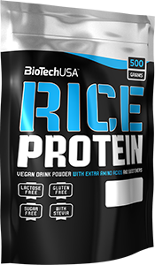 Протеин BioTechUSA Rice Protein 500 g /20 servings/ Forest Fruits 381301 фото