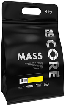 Гейнер Fitness authority Core Mass 3000 g / 30 servings / chocolate - hazelnut 1082099 фото