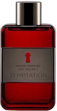 Туалетна вода Antonio Banderas The Secret Temptation 100 ml 656344 фото
