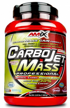 Гейнер Amix CarboJet Gain Mass Professional 1800 g / 18 servings / forest fruits 1024807 фото