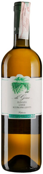 Вино Fattoria San Lorenzo Marche Bianco di Gino сухе біле 0.75 л (BWW5611) 1235069 фото