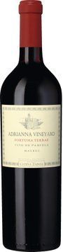 Вино Catena Zapata Adrianna Fortuna Terrae Malbec 2020 червоне сухе 0.75 л (BWT7514) 1248220 фото