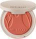 Artdeco Silky Powder Blush №20 terracotta cheeks Румяна для лица 4 g 1083804 фото 1