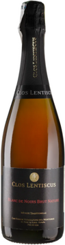 Игристое вино Clos Lentiscus Blanc de Noirs Brut Nature белое нон-дозаж 0.75 л (пляш) 1247328 фото