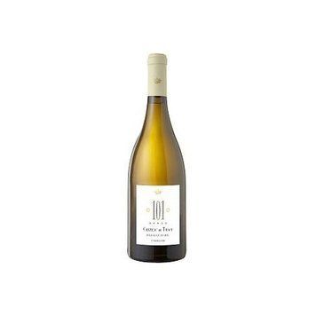 Вино Tracy Pouilly-Fume "101" 2008 біле сухе 0.75 л (VTS1212240) 902882 фото