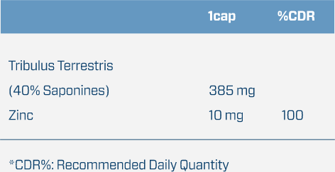 Бустер тестостерону Quamtrax Tribulus 100 Capsules 721450 фото