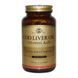 Solgar Cod Liver Oil Vitamin A & D 250 Softgels Вітаміни А і D3 з печінки тріски 496811 фото 1