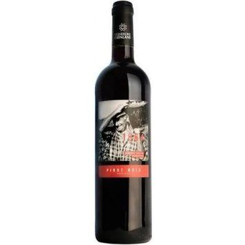 Вино Vignerons Catalans Cuvee 1964 Pinot Noir Pays d'OC IGP, червоне сухе, 0.75л 13% (PRV3233960066671) 1217018 фото
