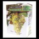 Вино Alianta Vin Chardonnay біле сухе 11.5% 3 л (WNF4840042005818) 1215331 фото 1