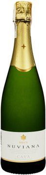 Вино ігристе Codorniu Cava Nuviana Brut біле сухе 0.75 л (FSH_8410013008474) 1361354 фото