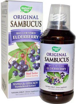 Nature's Way Sambucus Immune Elderberry Standardized 8 fl oz (240 ml) Черная бузина 535172 фото