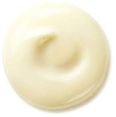 Shiseido Benefiance Wrinkle Smoothing Day Cream SPF 25 Денний крем для обличчя 50 ml 1239169 фото