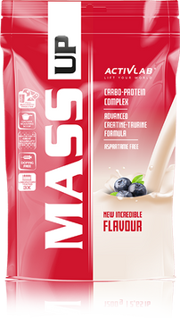 Гейнер Activlab Mass Up 1200 g /12 servings/ Blueberry 648138 фото