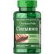 Puritan's Pride Cinnamon 500 mg 100 caps (PTP-14020) 384169 фото 1