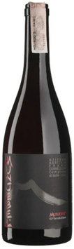 Вино Frank Cornelissen Munjebel Etna Rosso 2021 червоне сухе 0.75 л (BWR7113) 1234485 фото