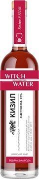 Настойка Witch Water Dogwood Кизил 22% 0.5 л (VTS6344032) 1367375 фото