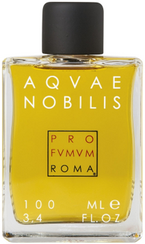 Парфумована вода Profvmvm Roma Nobilis 100 ml 734529 фото